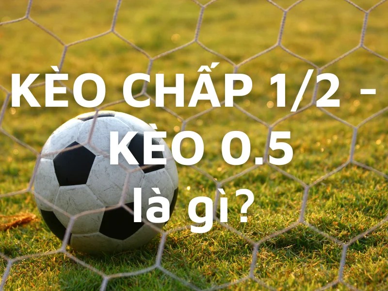  Tỷ lệ kèo chấp 0,5 hiện nay rất phổ biến